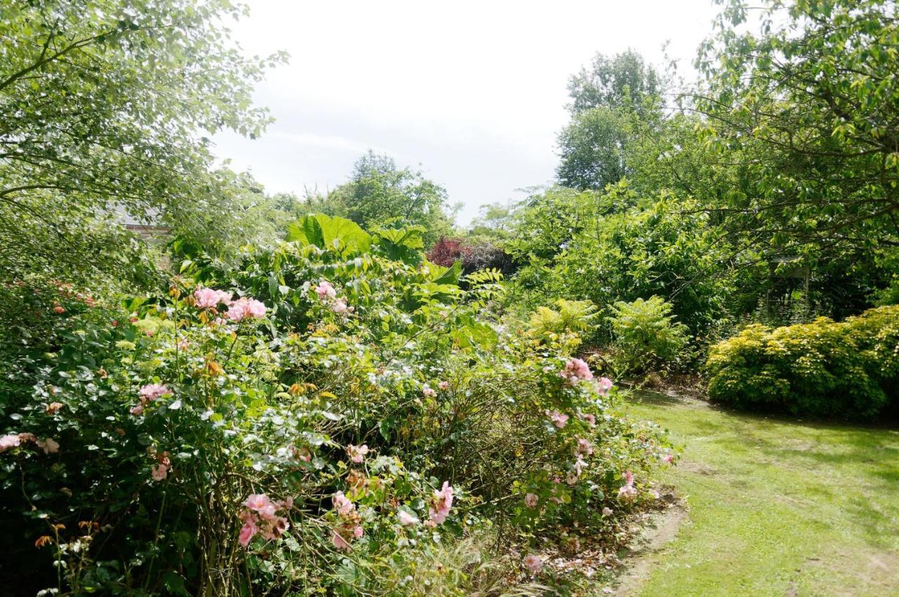 Le Cottage Bordeaux-Saint-Clair Exteriör bild